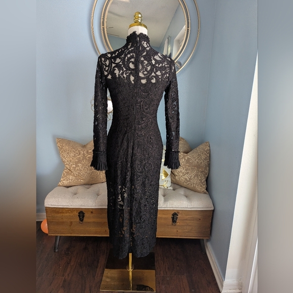 Alexis Fala Lace Dress - Picture 5 of 8